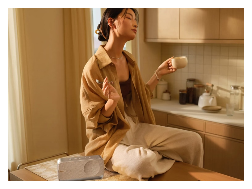 Soundlink Home Speaker (Год гарантии в СЦ!) 01